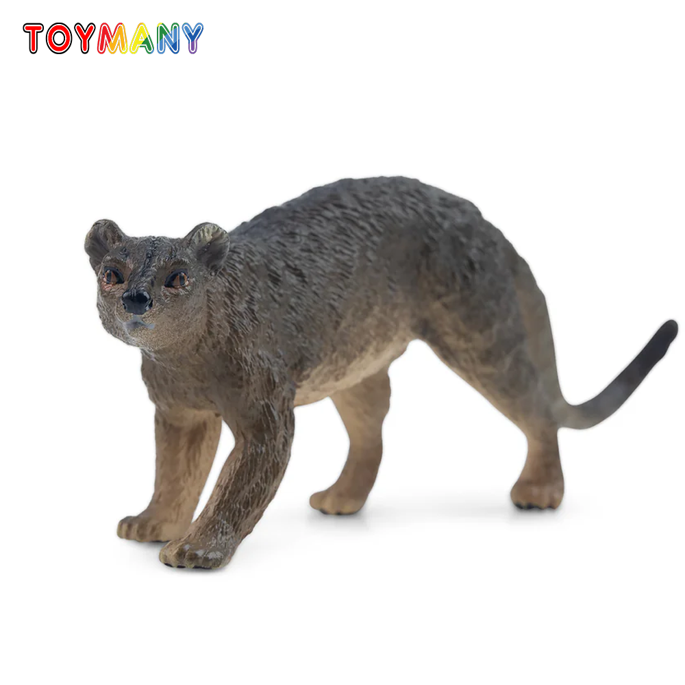 Kids Toys Variety - Toymany Simülasyon Fossa Madagaskar Hayvan Modeli