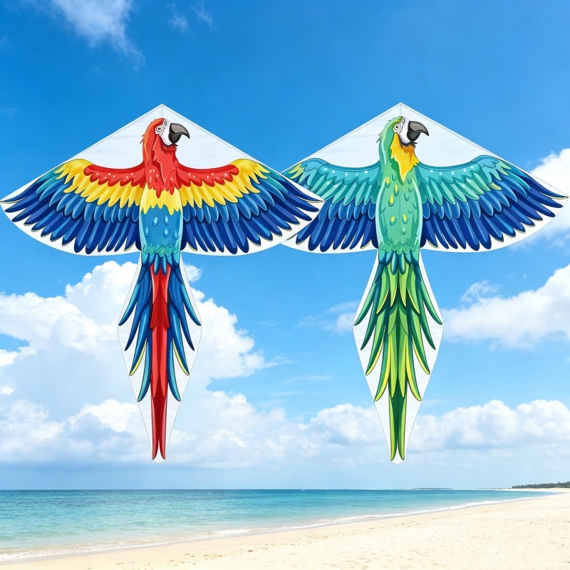 Kite Wind Outdoor - Açık Hava Papağan Uçurtmaları, Spor Tekerlekli