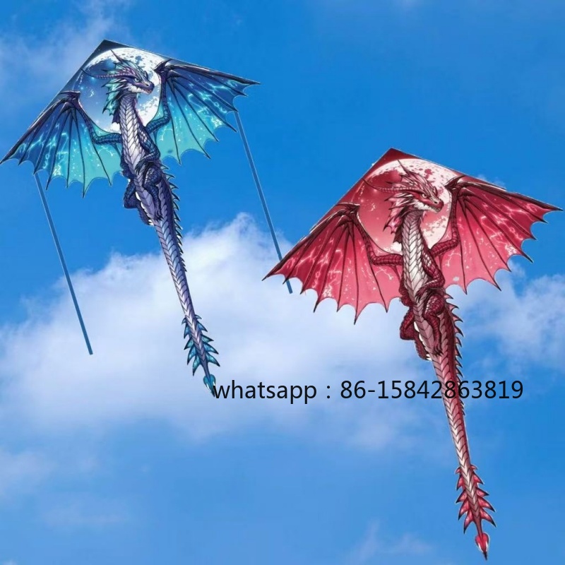 Kite Wind Outdoor - Yeni pterosaur uçurtmaları, profesyonel rüzgar uçurtmaları,