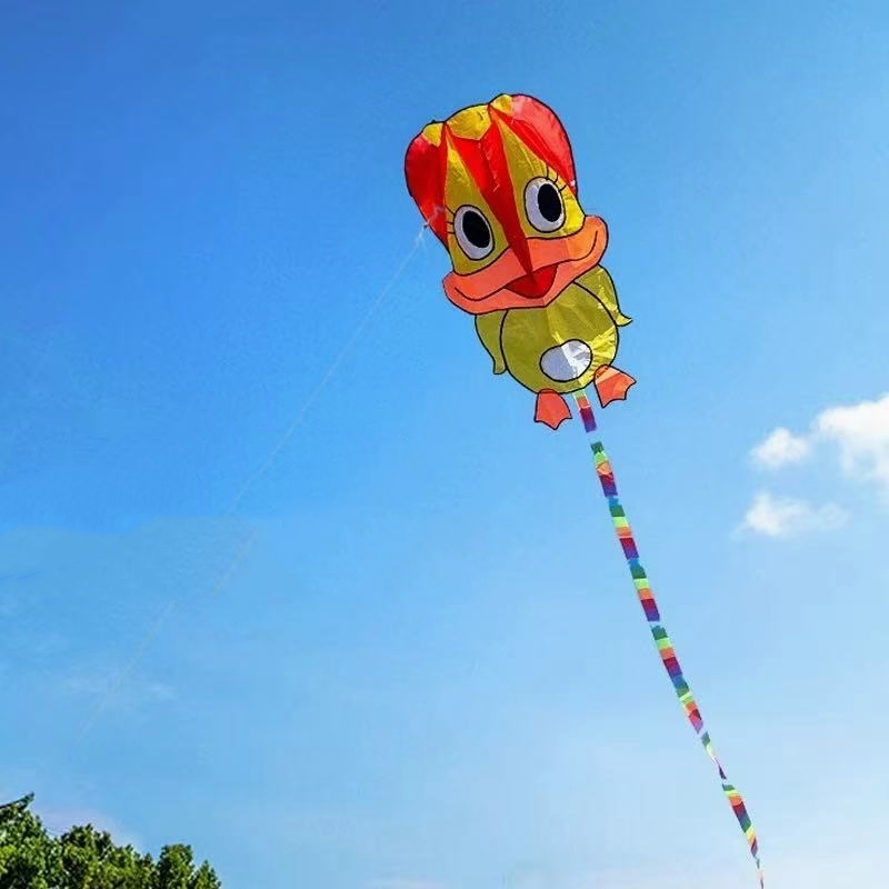 Kite Wind Outdoor - Şişme uçurtmalar Ördek uçurtmaları açık havada