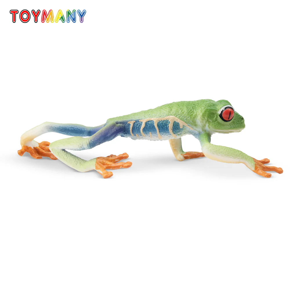 Kids Toys Variety - Toymany Simülasyon Kırmızı gözlü Ağaç Kurbağa