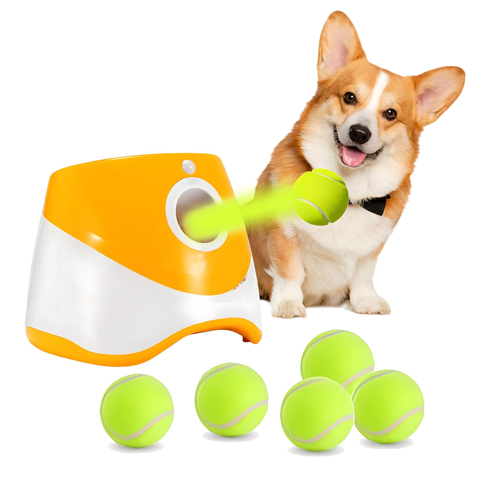 Top Fırlatıcı Köpek İnteraktif - Catapult Launcher Toy incelemesi ve fiyatı
