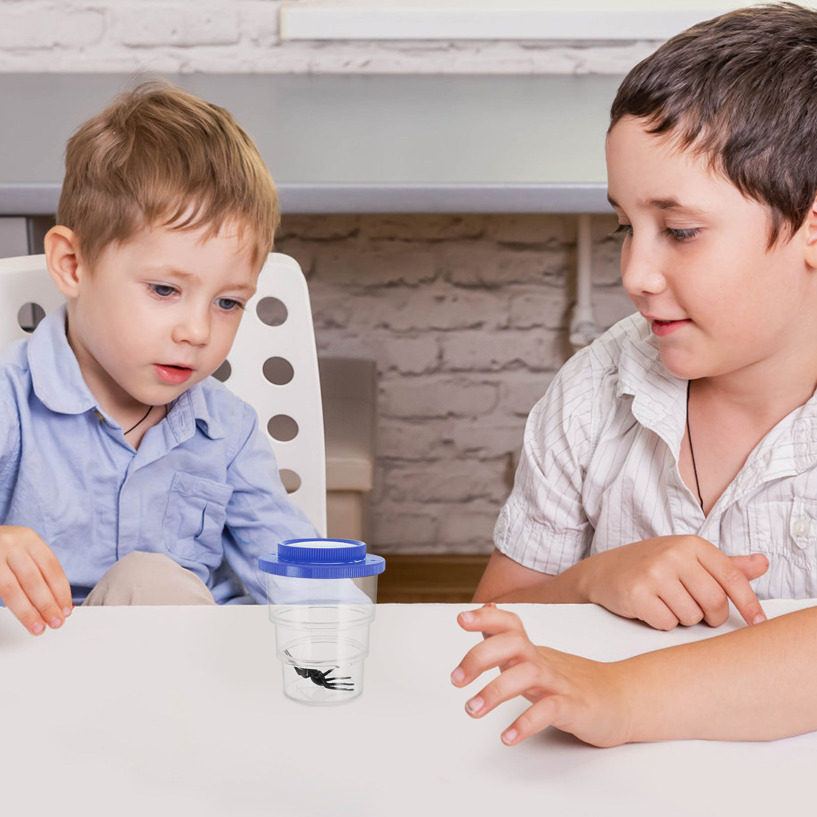 Üç Bölmeli Böcek Gözlem Kutusu - Kids Toys Learning incelemesi ve fiyatı