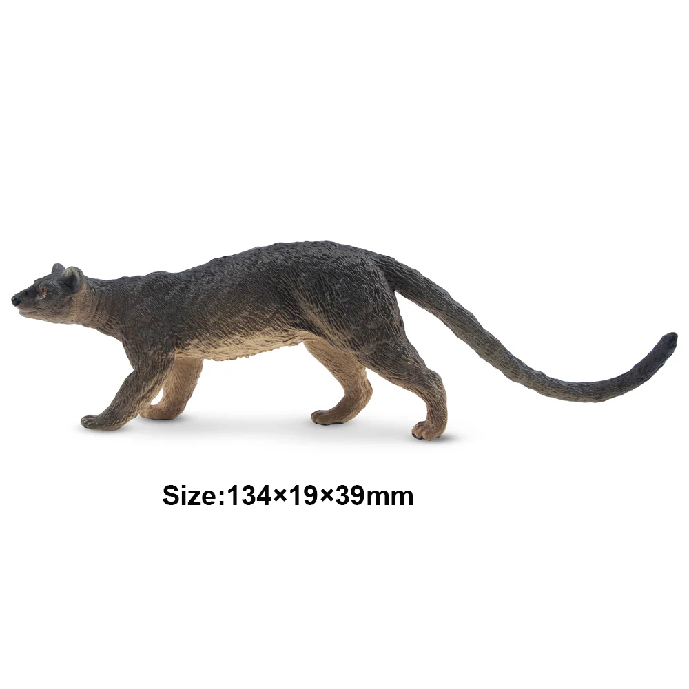 Toymany Simülasyon Fossa Madag - Kids Toys Variety incelemesi ve fiyatı