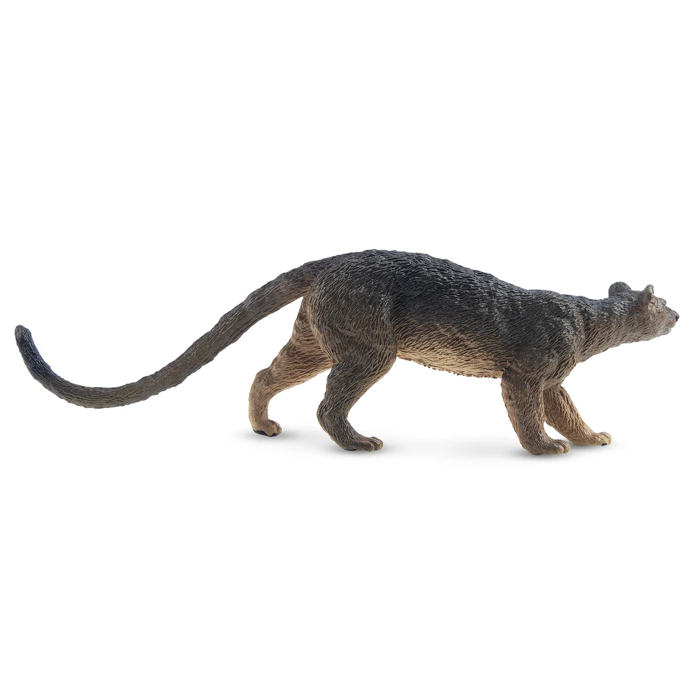 Toymany Simülasyon Fossa Madag - Kids Toys Variety incelemesi ve fiyatı