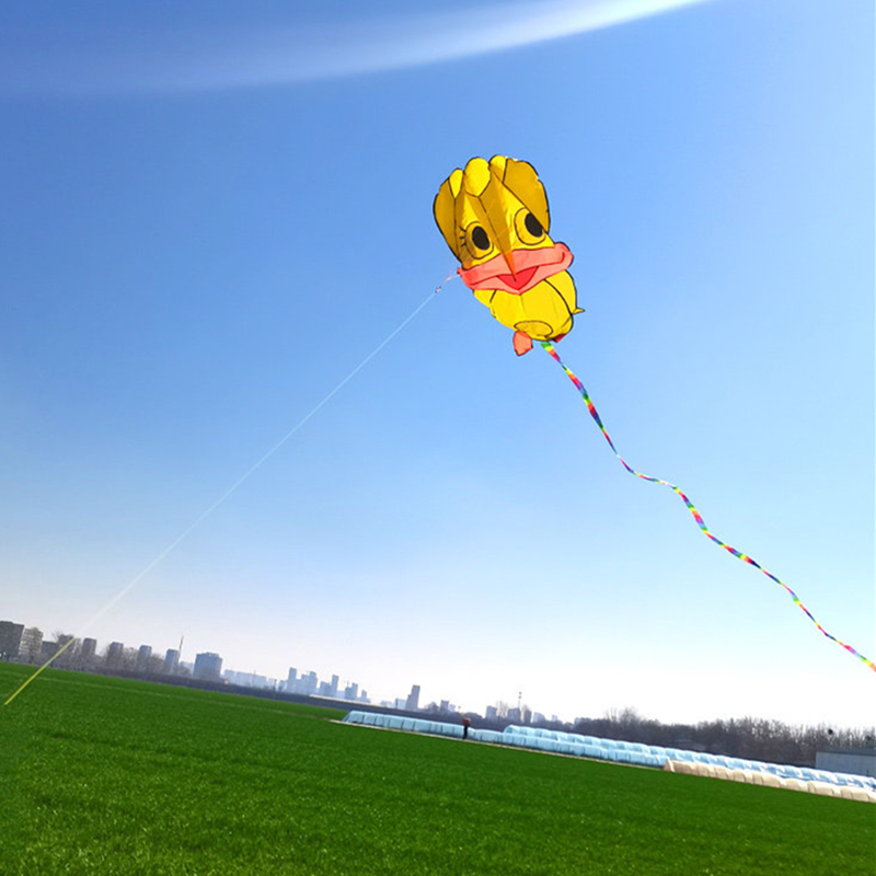 Şişme uçurtmalar Ördek uçurtma - Kite Wind Outdoor incelemesi ve fiyatı