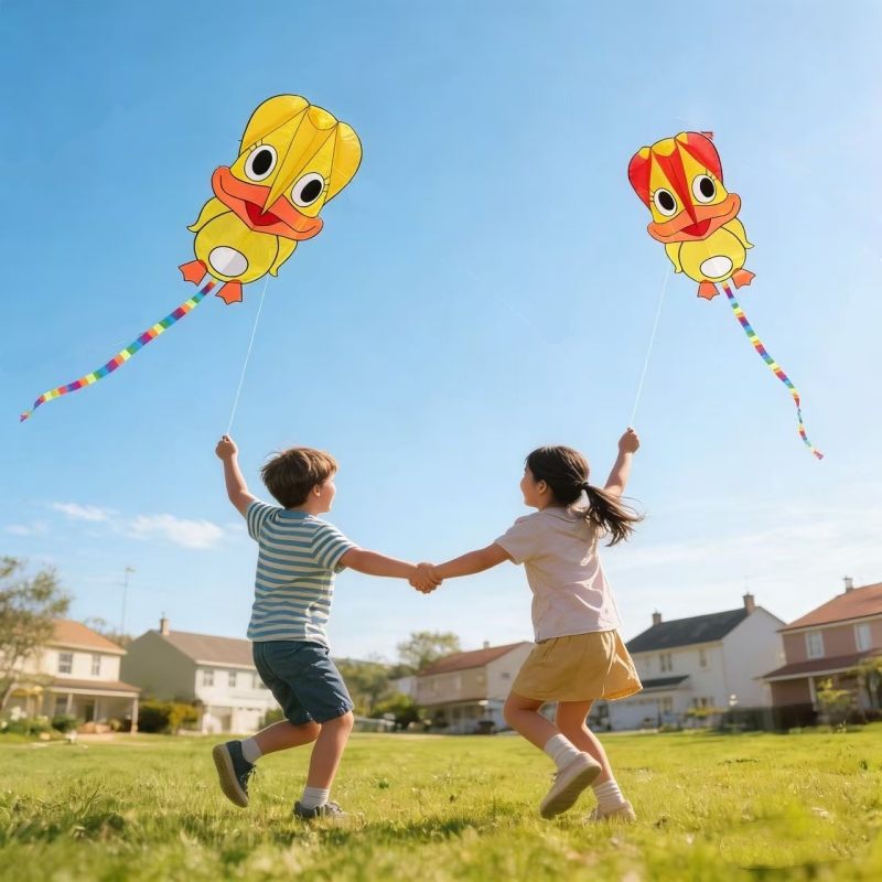 Şişme uçurtmalar Ördek uçurtma - Kite Wind Outdoor incelemesi ve fiyatı